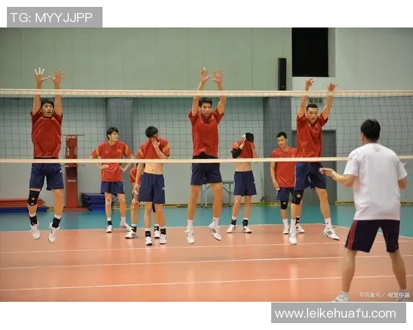 上海排球队的节奏揭秘：深度解析排球战术与团队协作的完美融合